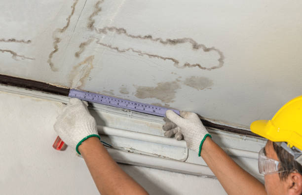 Reliable Water Damage Repair contractor in Port Clinton, OH by Hirex Water Damage